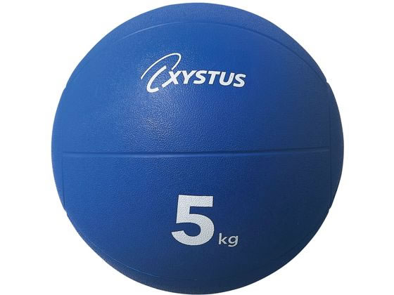 �g�[�G�C���C�g ���f�B�V���{�[�� �g���[�j���O�p�i 25-4938-04 H-7184(5KG)