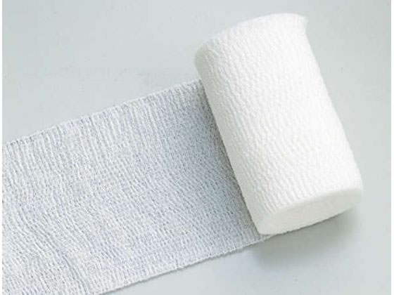 �V�O�}�b�N�X �G���z���C�g-S 4�� �z���C�g 10�� 501204