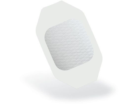 �\���x���^�� �e�K�_�[���R���t�H�[�g�t�B���� �h���b�V���O�� �E�C���h�E�A�E�g�^�C�v