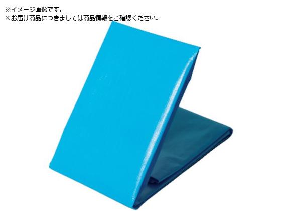 ���� NEO�V�[�g �u���[�V�[�g #3000 3.6m�~4.5m NEOS3645