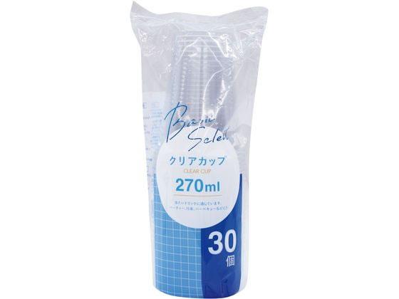 aY x[VbNZNg NAJbv 270mL 30 65360