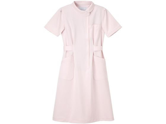 �i�K�C���[�x�� �Ō�� ���� LL �s���N CA-1707