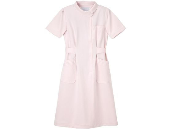 �i�K�C���[�x�� �Ō�� ���� EL �s���N CA-1707