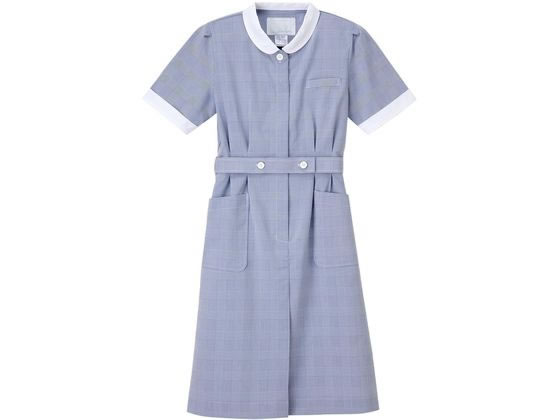 �i�K�C���[�x�� ���K�� S �u���[ GC-2207