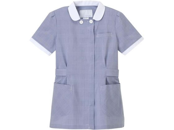 �i�K�C���[�x�� ���K��� L �u���[ GC-2202