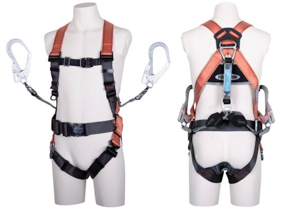 TSUYORON RAn[lX xgt cC[ht