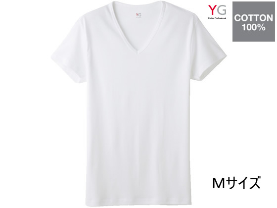 GUNZE YG COTTON100% VネックTシャツ ホワイトM 1枚 YV0015N