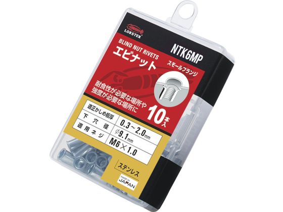 ���u�e�b�N�X �u���C���h�i�b�g ���u�e�b�N�X�i�b�g  �����E�X�e�����X�� �G�R�p�b�N ��2.0 M6X1.0 10�� NTK6MP