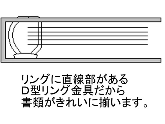 LIHITLAB D型リングファイル 〔A4/2穴〕 タテ型 G2250-27 灰 10冊-