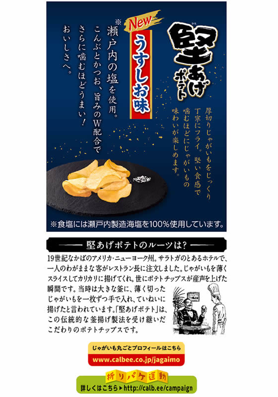 カルビー 堅あげポテト うすしお味 65g