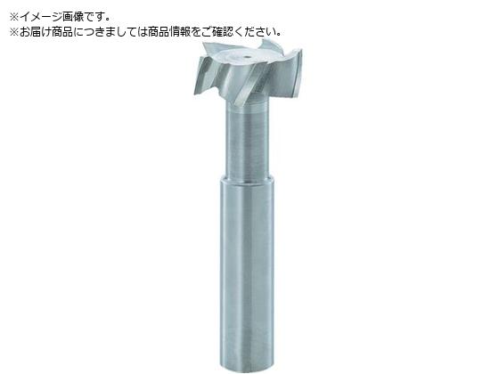 FKD T�X���b�g�G���h�~��22�~8 TSE22X8