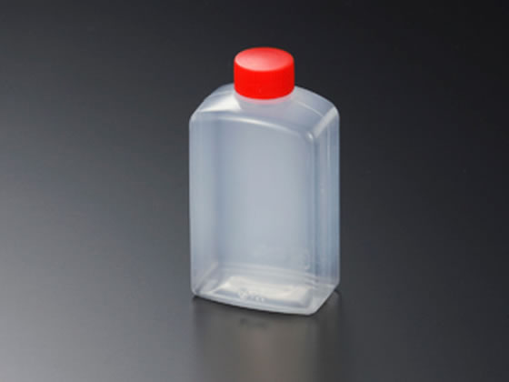 �������w �^���� �p ���� (D) 25��