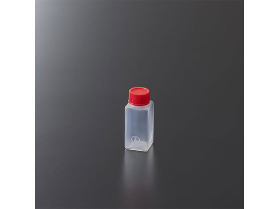 �������w �^���� �p�� (D) 100��