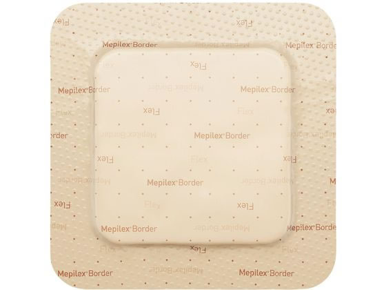 �������b�P ���s���b�N�X�{�[�_�[�v���e�N�g �l�p �h���b�V���O�� 25-7454-01 �������b�P�w���X�P�A 595011(�X�N�G�A)10�}�C�C��