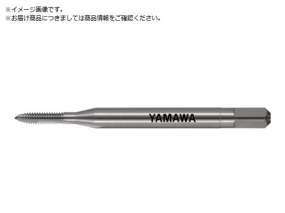 } |Cg^bv PO P2 M1.6X0.35 PO-M1.6X0.35