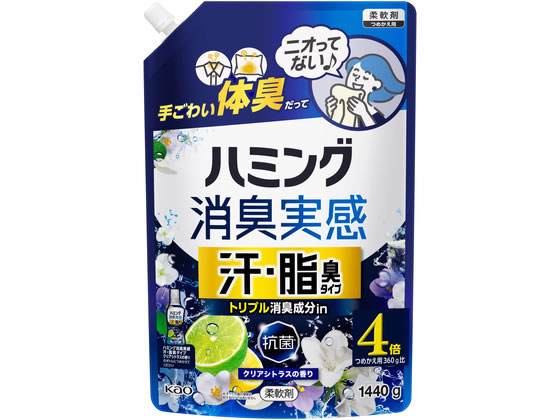 KAO �n�~���O���L���� ���E���L�^�C�v �V�g���X�̍��� �l�� 1440g