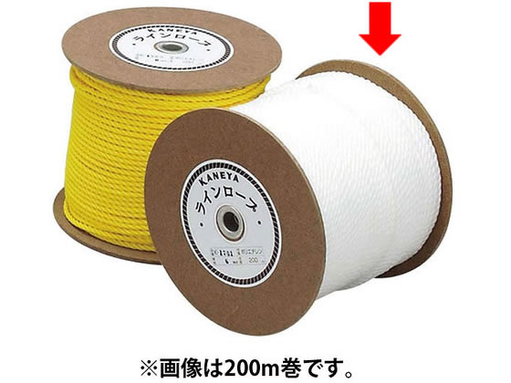 �[�b�g ���C�����[�v(300m)�z���C�g ZK1907-1100