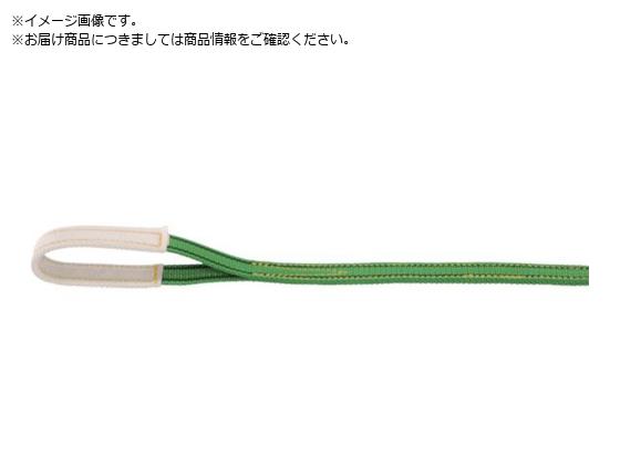 ۑPD |GXeXOCg 25mmx6m PSL25-60