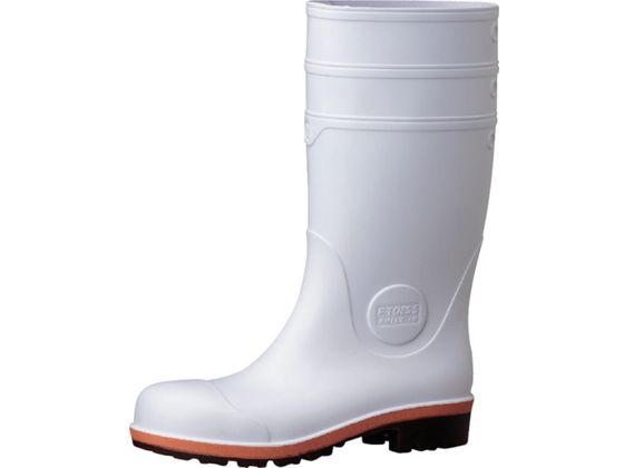 �~�h�����S ���w�ی��c������S���C27.0 21400060