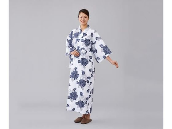 �I�I�T�L���f�B�J�� �K�[�[�Q�� �����pL 8-6551-03