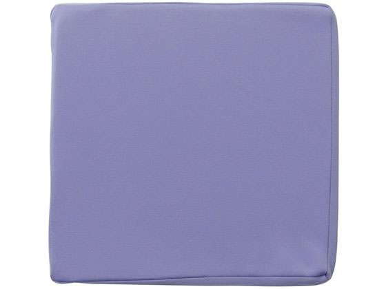 �􂦂�ᔽ���X�΃N�b�V���� �X�΂� �~�� �u���[ CH450406B01
