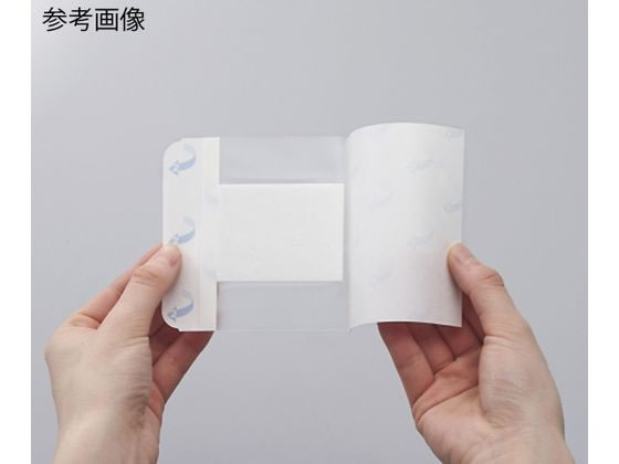 �j�g���Y �D���p�[�~�p�b�h(�p�b�h�t�t�B�����h���b�V���O)100�~250mm 1��(20����) 8-8465-06