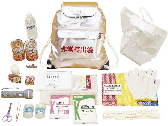 �����s���������H�� ���21�_�Z�b�g �h�Ѓo�b�O 10-5050-00 8801