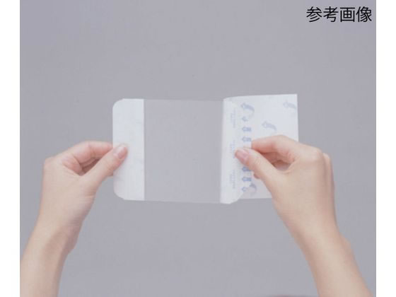 �j�g���Y �D���p�[�~�G�C�h(�t�B�����h���b�V���O)100�~250mm 1��(20����) 8-8768-04