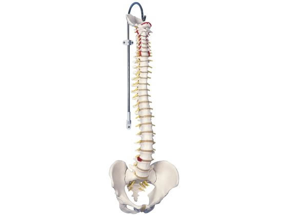 ���{�X���[�r�[�E�T�C�G���e�B�t�B�b�N �Ғ����^���f���W���^ A58�^1