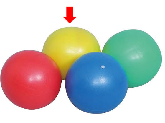 �[�b�g �\�t�e�B26 �C�G���[ ZS3326-5300