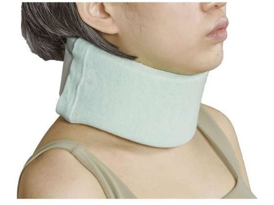 ���{�q�� �G�[�X�J���[�\�t�g��(L)24-2030-02 NE-2573(38-44CM)