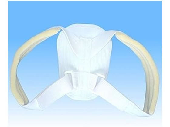 ���{�q�� �N���r�N���x�X�g�W���j�A(M) NE-2564(11-13�T�C)