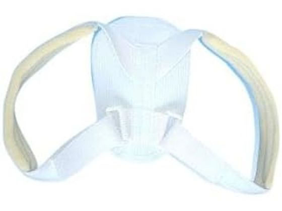 ���{�q�� �N���r�N���x�X�g�W���j�A(S) NE-2563(6-10�T�C)