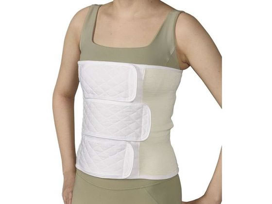 ���{�q�� �_�C���t�B�N�XIII�^(L)NE-633(30X105CM)