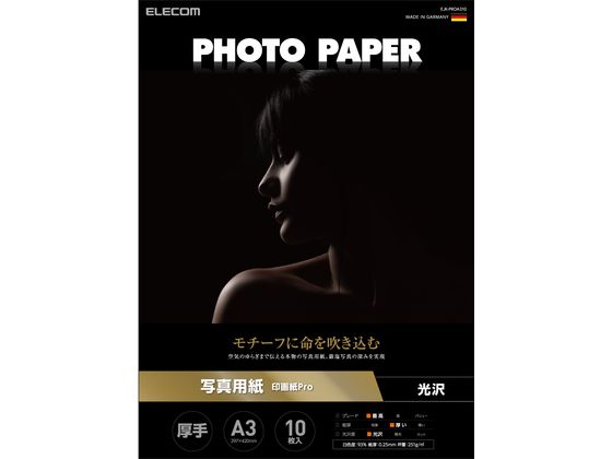 エレコム 写真用紙 印画紙Pro A3 10枚 EJK-PROA310