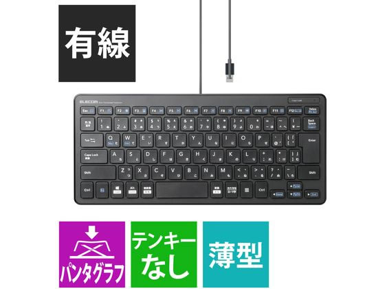 エレコム 有線ミニキーボード パンタグラフ 薄型 ブラック TK-FCP096BKが2,981円【ココデカウ】