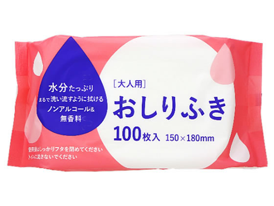 大和物産 大人用おしりふき 100枚入 81088