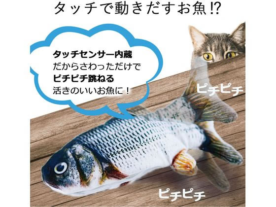 日翔 お魚ピチピチ サバ