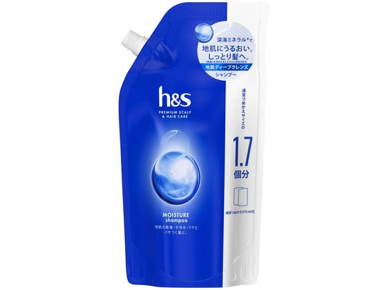 P & G h & s モイスチャー シャンプー つめかえ特大サイズ 550mL