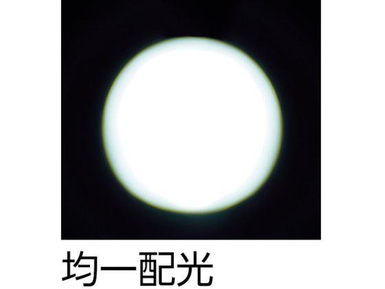 TRUSCO 高輝度LEDペンライト ロング PMLP-250 4143973が8,178円