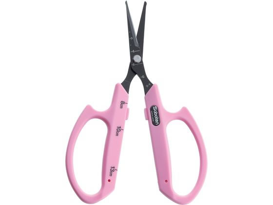 �T�{�e�� ��ۂԂǂ������n�s���N �t�b�f