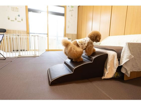 ペットプロ Homey パピー&介護用ステップ 3段が10,821円【ココデカウ】