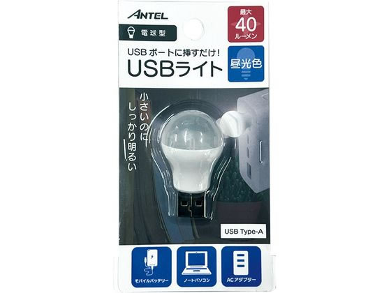 YSN USBミニ電球型ライト HX10LT-010WH