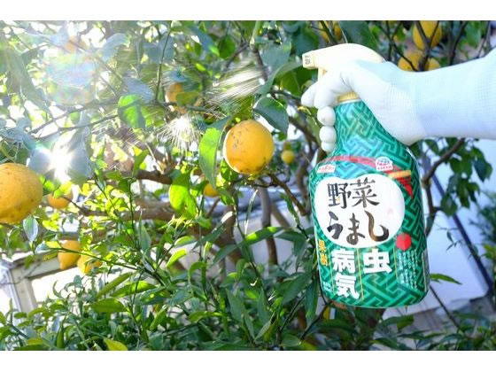 アース製薬 アースガーデン 野菜うまし1000mlが851円【ココデカウ】