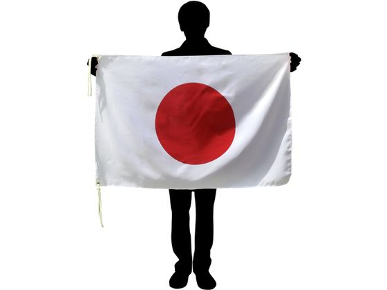 東京製旗 国旗No.1(70×105cm) タイ 416401 2073706が8,966円【ココデカウ】