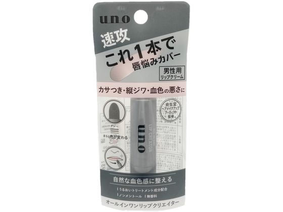 ファイントゥデイ ウーノ オールインワンリップクリエイター 2.2gが865