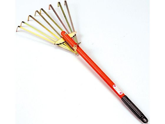 ���c�� �~�j���܂� ���� 55527