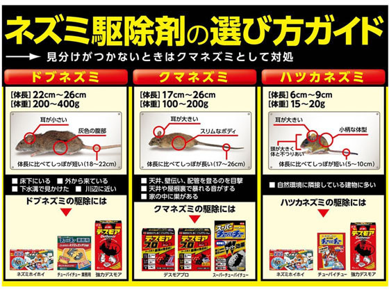 アース製薬 デスモアプロ ハーフ投げ込み 6包が1,252円【ココデカウ】