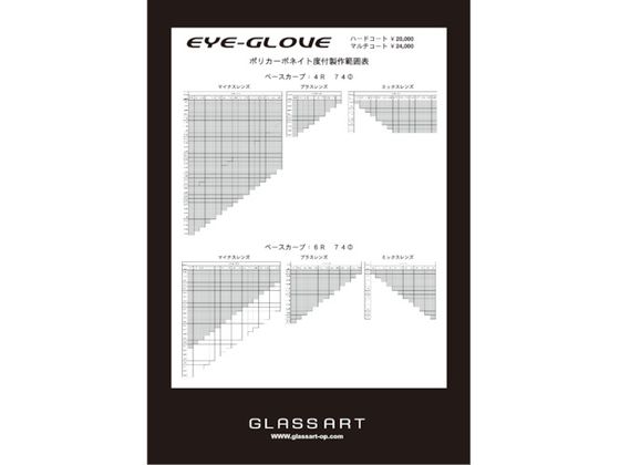 EYE-GLOVE 二眼型セーフティゴーグル ブラック (度なしレンズ)