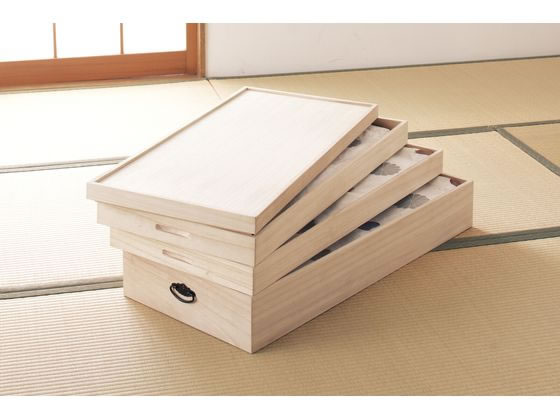 �t�@�~���[�E���C�t ���ˈߑ��P�[�X 3�i a2162020